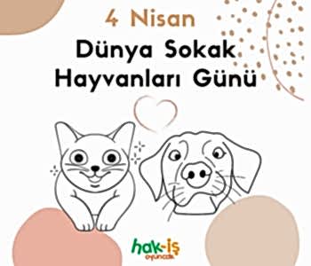 Bir avuç sevgi, bir ömre bedel. Sokak hayvanları günü, sevginin gücünü kutlama günüdür.